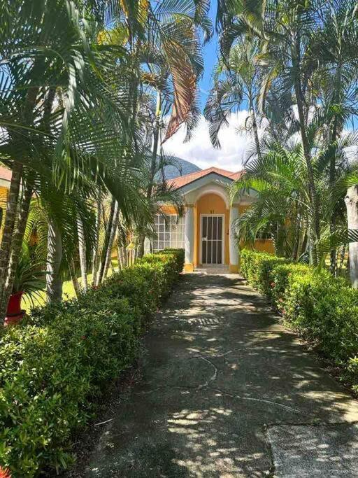 Villa De Ali In Palma Real Ла-Сейба Екстер'єр фото
